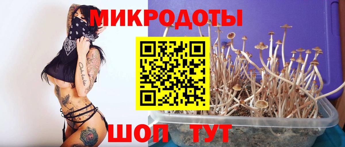 Трёхгорный  хочу   Вход с VPN  Псилоцибиновые грибы Cubensis 