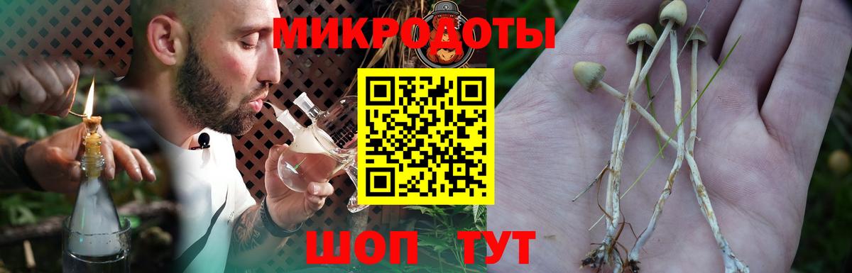 Псилоцибиновые грибы GOLDEN TEACHER Трёхгорный